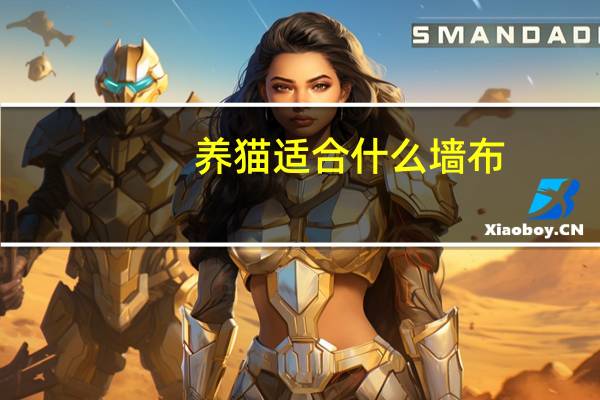 养猫适合什么墙布