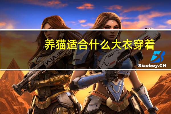 养猫适合什么大衣穿着