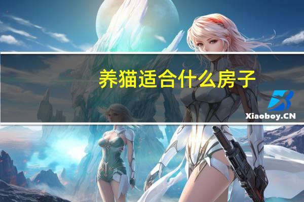 养猫适合什么房子