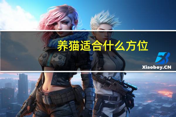 养猫适合什么方位