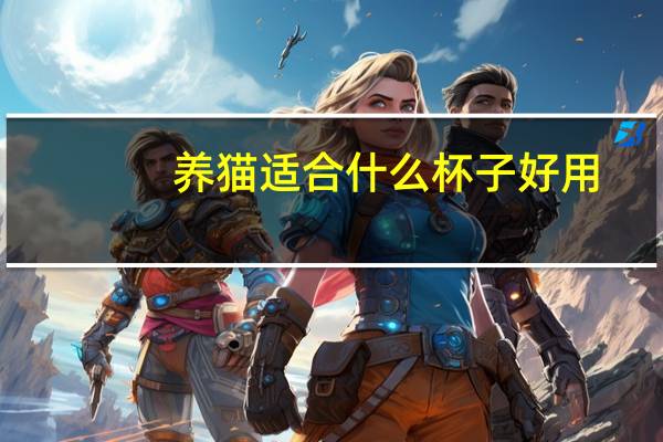 养猫适合什么杯子好用