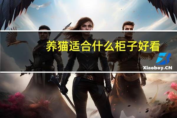 养猫适合什么柜子好看