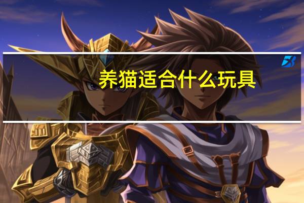 养猫适合什么玩具