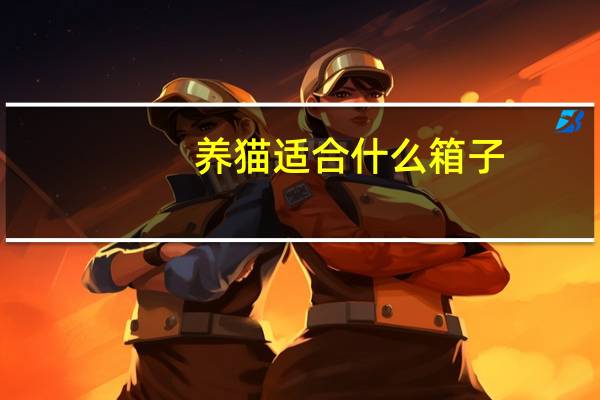 养猫适合什么箱子