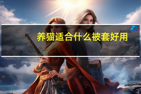 养猫适合什么被套好用