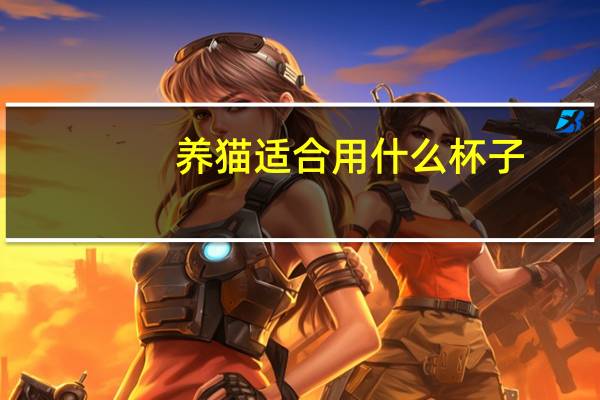 养猫适合用什么杯子