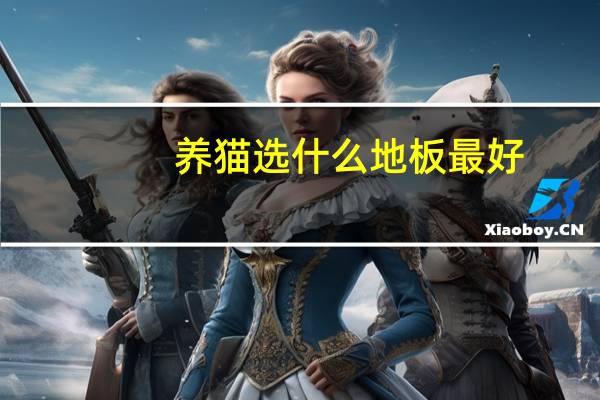 养猫选什么地板最好