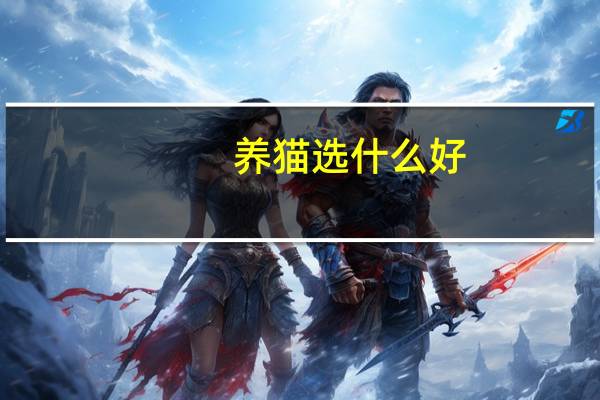 养猫选什么好