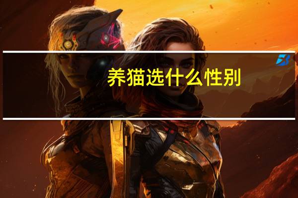 养猫选什么性别