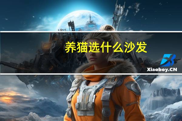 养猫选什么沙发