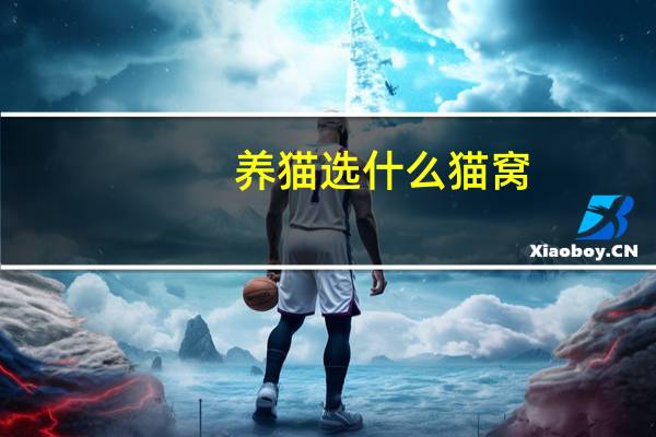 养猫选什么猫窝