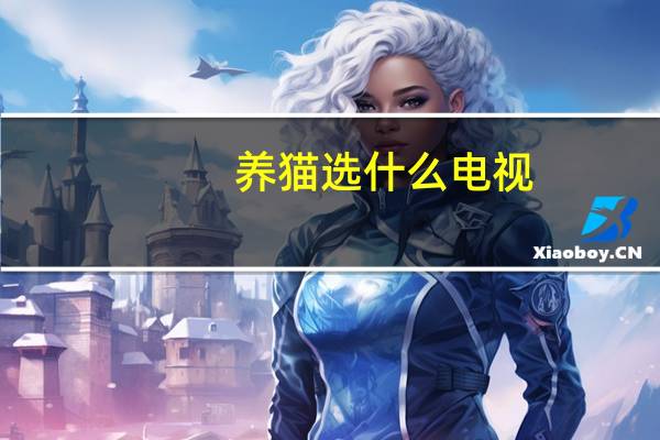 养猫选什么电视