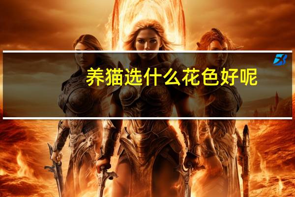 养猫选什么花色好呢