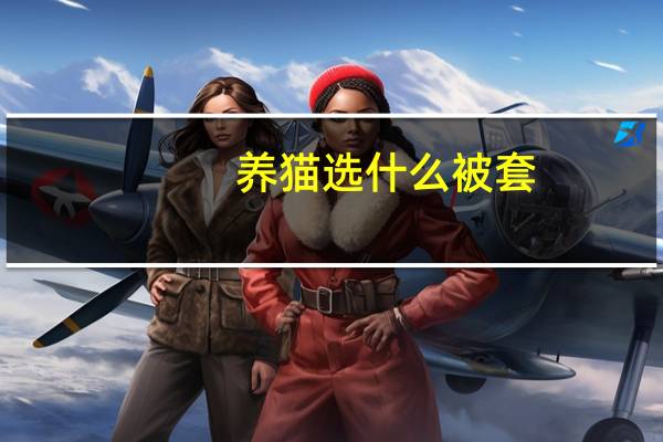 养猫选什么被套