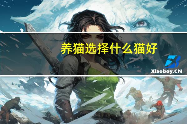 养猫选择什么猫好
