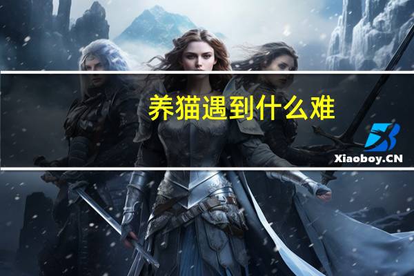 养猫遇到什么难