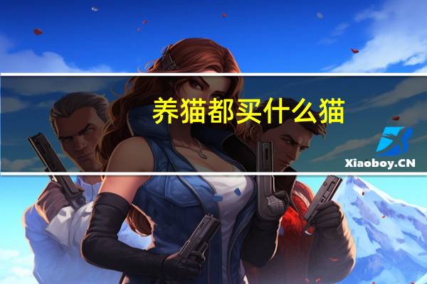 养猫都买什么猫