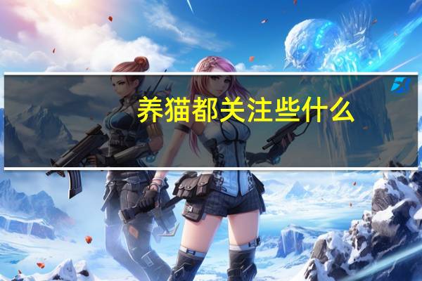 养猫都关注些什么
