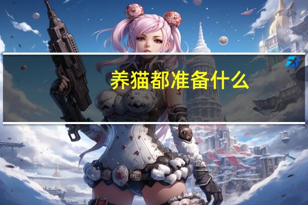 养猫都准备什么