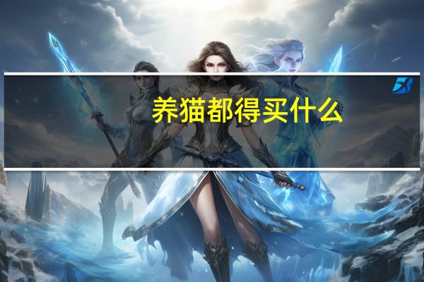 养猫都得买什么