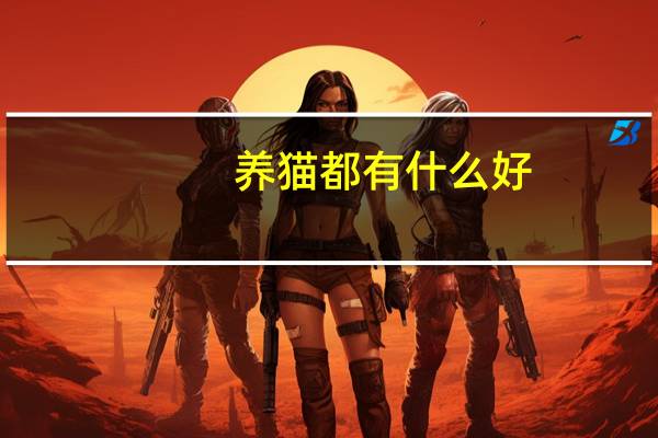 养猫都有什么好
