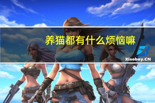 养猫都有什么烦恼嘛