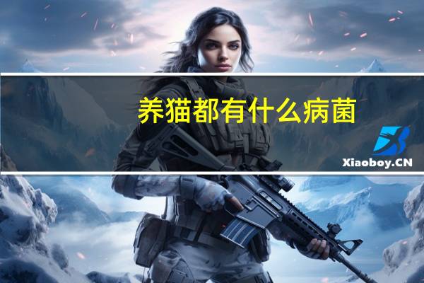 养猫都有什么病菌