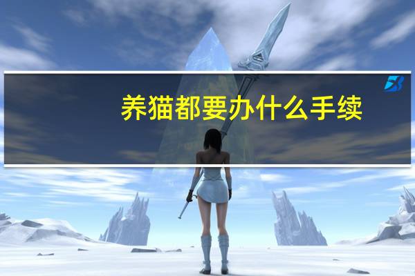 养猫都要办什么手续