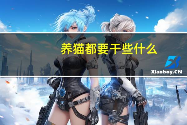 养猫都要干些什么