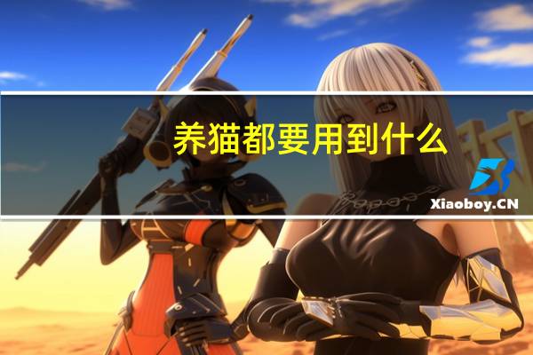 养猫都要用到什么