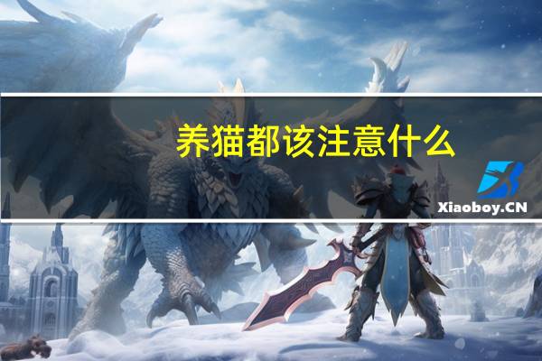 养猫都该注意什么