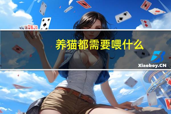 养猫都需要喂什么