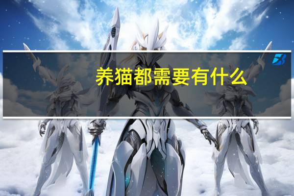 养猫都需要有什么