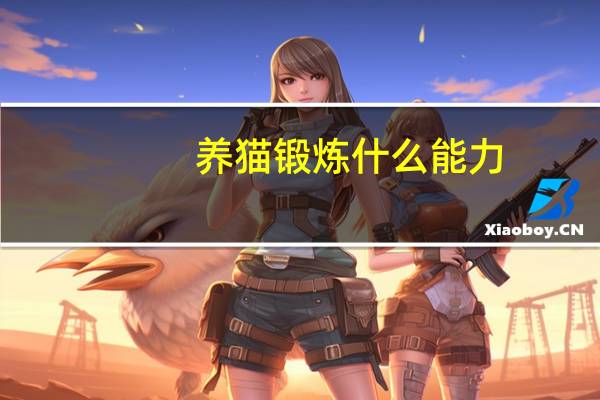 养猫锻炼什么能力