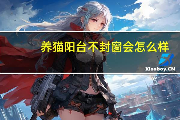 养猫阳台不封窗会怎么样