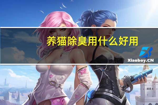养猫除臭用什么好用