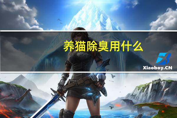 养猫除臭用什么