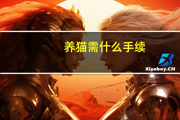 养猫需什么手续