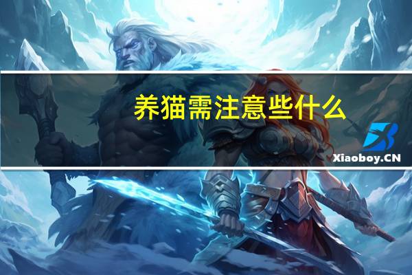 养猫需注意些什么