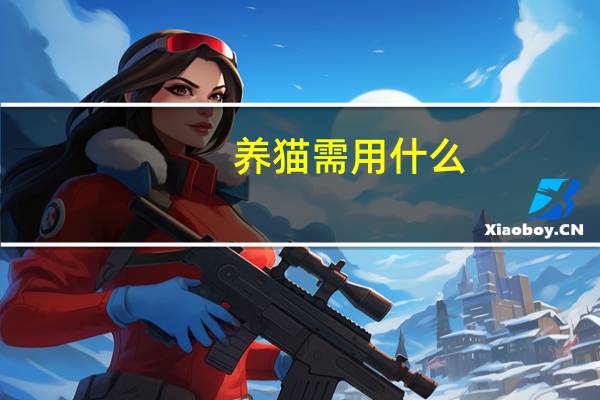 养猫需用什么