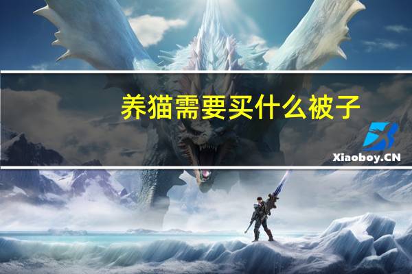 养猫需要买什么被子