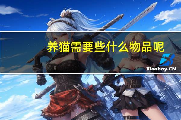 养猫需要些什么物品呢