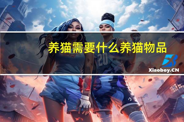 养猫需要什么养猫物品