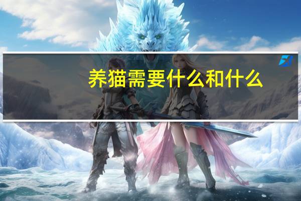 养猫需要什么和什么