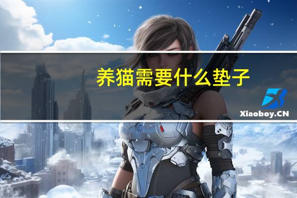 养猫需要什么垫子