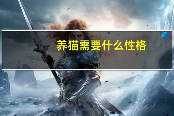 养猫需要什么性格