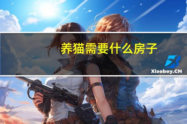 养猫需要什么房子