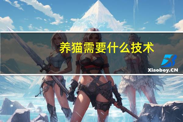 养猫需要什么技术