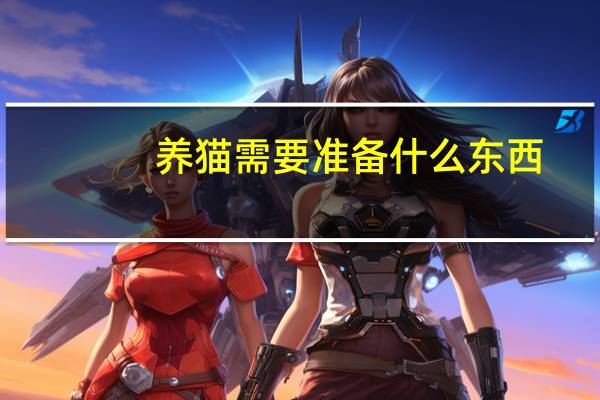 养猫需要准备什么东西