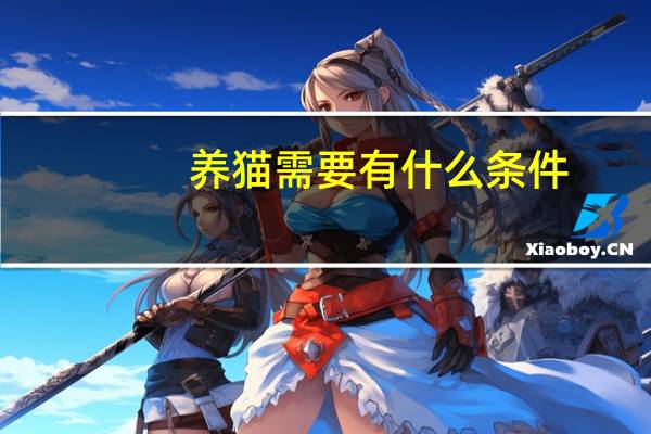 养猫需要有什么条件
